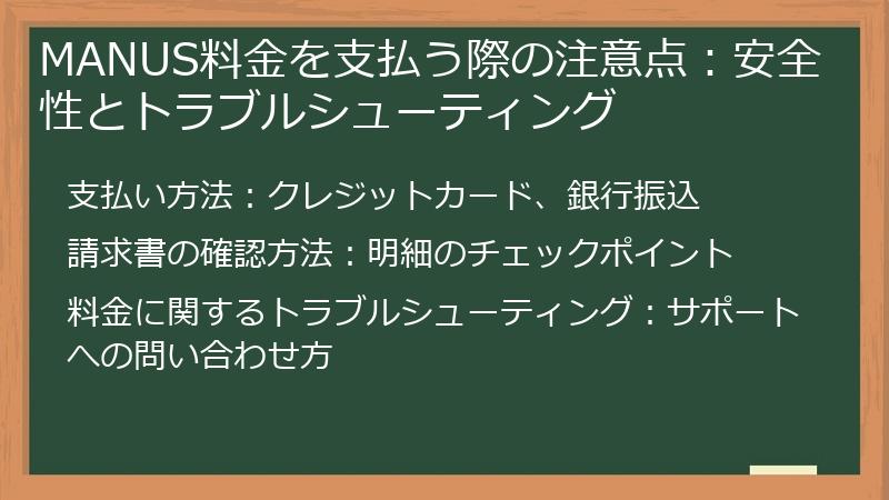 MANUS料金を支払う際の注意点：安全性とトラブルシューティング