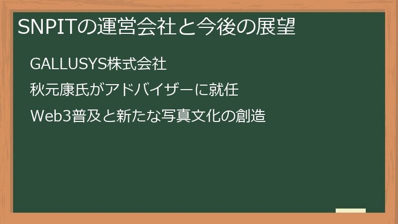 SNPITの運営会社と今後の展望