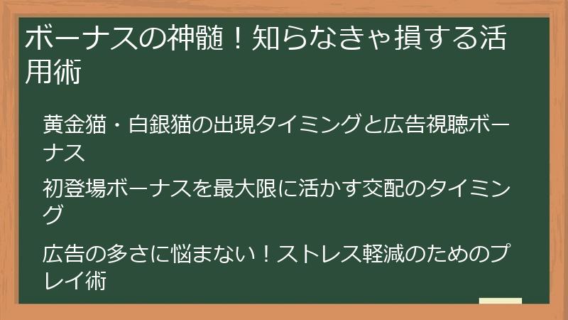ボーナスの神髄！知らなきゃ損する活用術